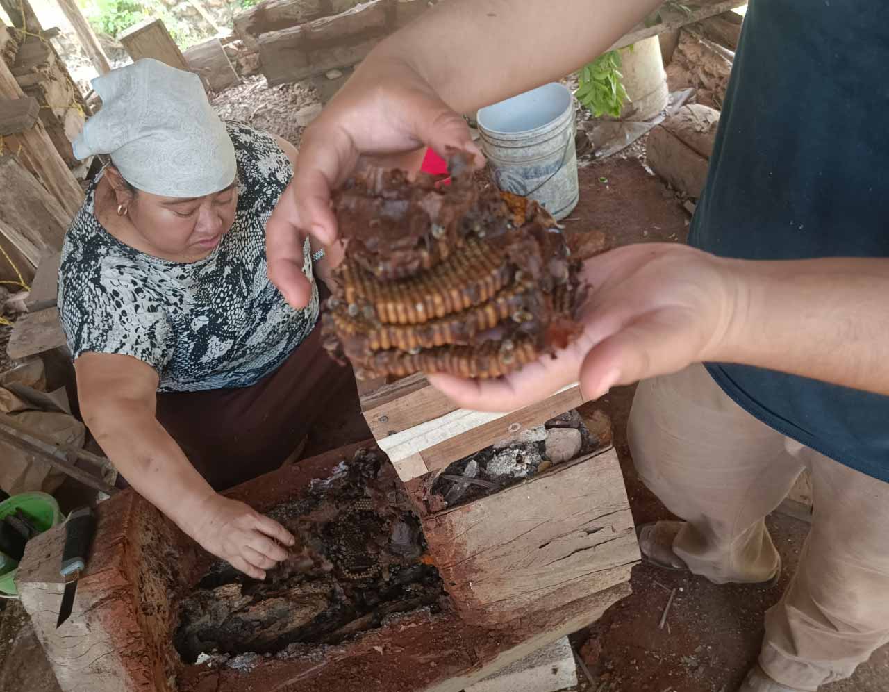 jovenes-maya-origenes-digital-04